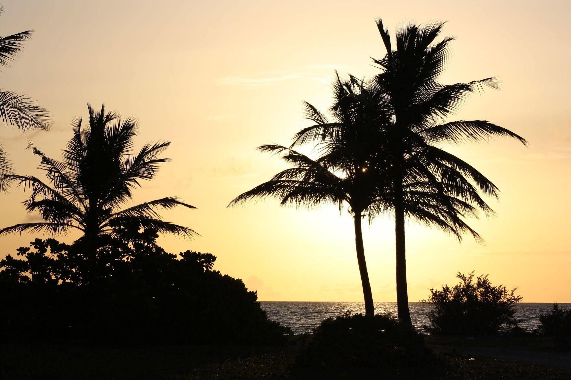 Boutique Beach All Inclusive Diving Hotel Dhigurah  Exteriér fotografie