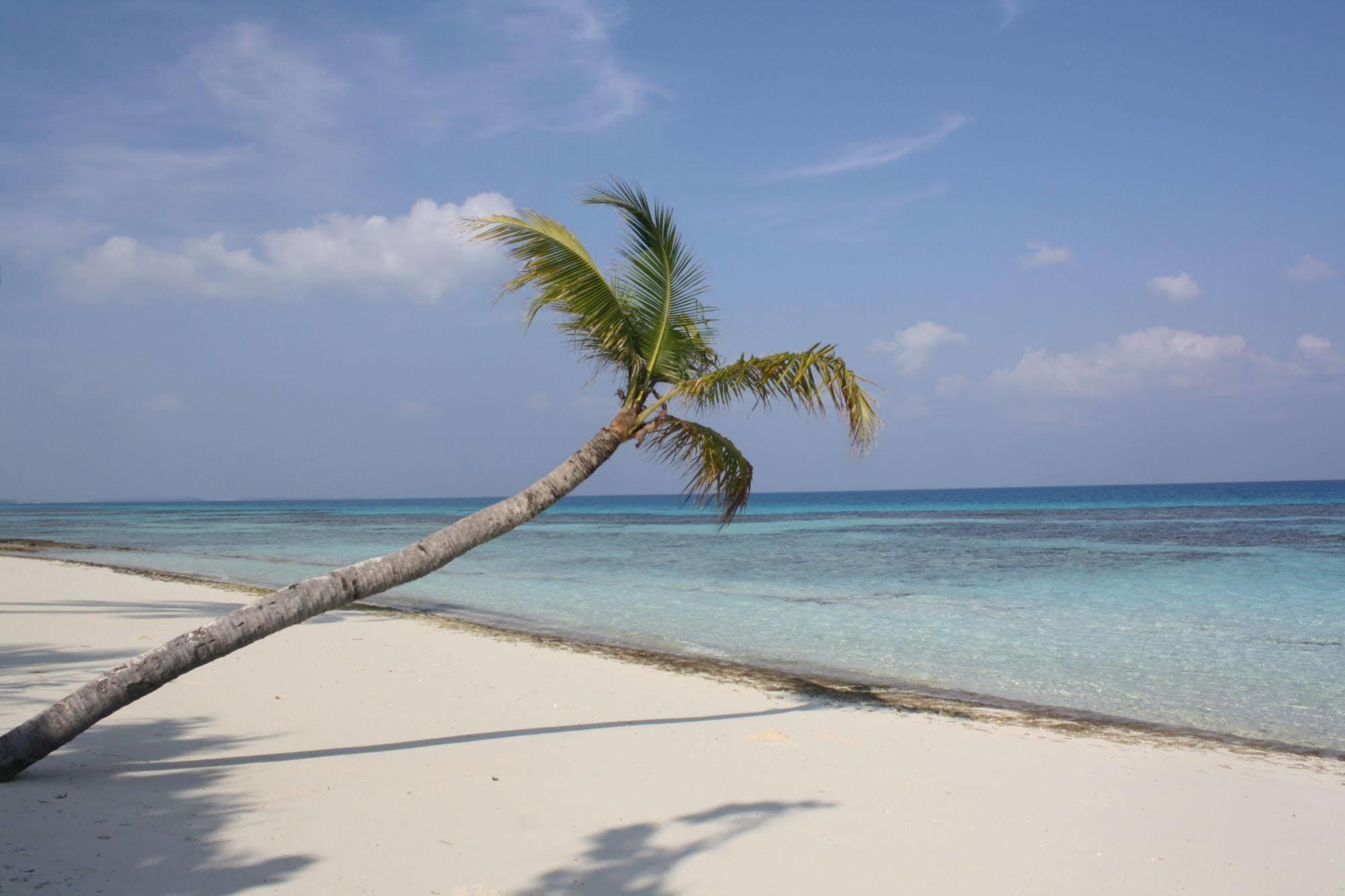 Boutique Beach All Inclusive Diving Hotel Dhigurah  Exteriér fotografie